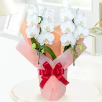 Funeral Gift Baskets