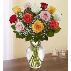 Rose Elegance Premium Long 24 Stems Assorted Roses