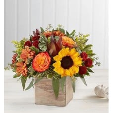 Harvest Glow™ Bouquet (Large)