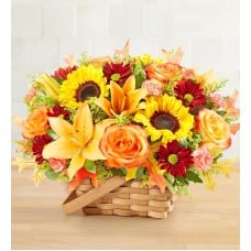 Fields of Europe® for Fall Basket (Small)