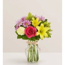 Fields Of Europe® For Spring (Medium)