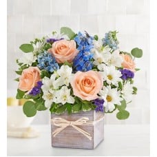 Coastal Breeze (Small)