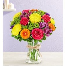 Fields of Europe® Celebration (Medium)