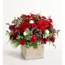 Russet Charm (Medium)
