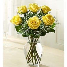 Loves Embrace Roses  Yellow