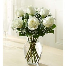 Loves Embrace Roses  White