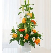 St Patricks Flowers of Ireland