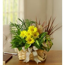 Dish Garden with Fresh Cut Flowers (Medium)