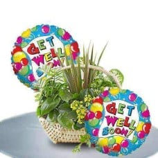 Freshness to keep you well