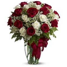 Love's Divine Bouquet - Long Stemmed Roses (Standard)
