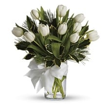 Tulips And Pine (Standard)