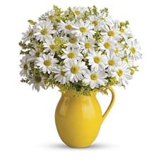 Giftblooms Sunny Day Pitcher of Daisies (Standard)