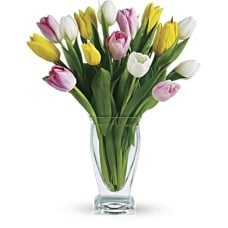 Giftblooms Tulip Treasure (Standard)