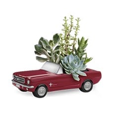 Dream Wheels '65 Ford Mustang