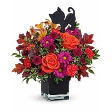 Midnight Magic Bouquet (Standard)