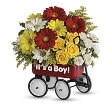 Baby's Wow Wagon by  - Boy (Standard)