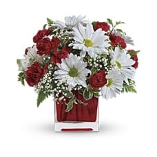 Red And White Delight by Giftblooms (Standard)