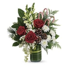 Festive Pines Bouquet (Standard)
