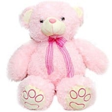 Pink Teddy 24 Inch (As Shown)
