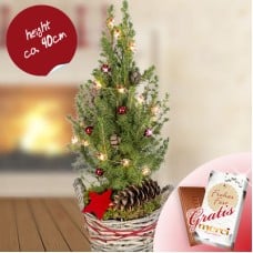 X-Mas Tree Christmas Pack with X-Mas lights and Merci chocolate