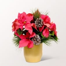 Pink Poinsettia with 2 Ferrero Rocher