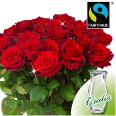 Red FAIRTRADE roses in a bunch with vase (Bunch Of 20 Red Roses)