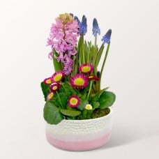 Fruhlingsfarben in a Pot