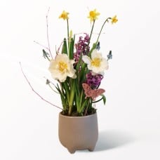 Fruhlingsparty in a Ceramic Pot