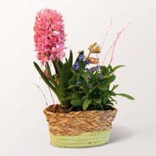 Fruhlingspoesie in a Basket