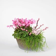 Spring Mix