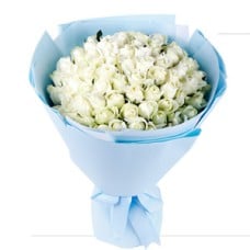 Pure roses (Small)