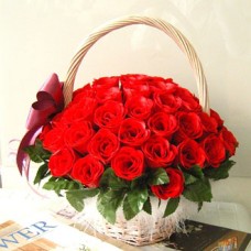 Red wind (As shown)