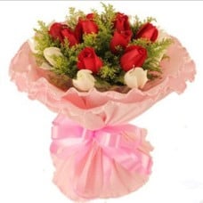 Flower bloom