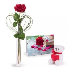 Love Combo: Red Rose and Tedd (Basic)