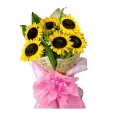 Sunflower admiration (Basic)