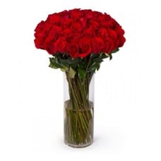 Ultimate Red Long Stem Roses