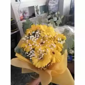 Yellow Gerberas Yellow Gerberas