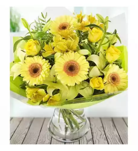 Yellow Yellow