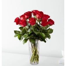 Long Stem Red Rose Bouquet (Standard - 12 Roses)