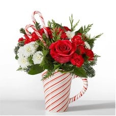 Peppermint Swirl Mug (Standard)