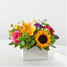Best Day Box Bouquet (Standard)