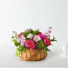 Radiance in Bloom Basket (Standard)