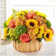 Harvest Sunflower Basket (Standard)