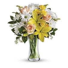 Daisies and Sunbeams (Standard)