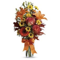 Burst of Autumn (Standard)