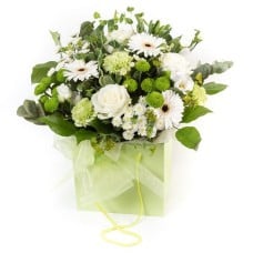 Lime & White Gift Bag (Standard)