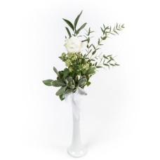 Single White Rose (Standard)