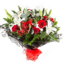Scarlet (Standard)