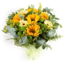 Sunny (Standard)