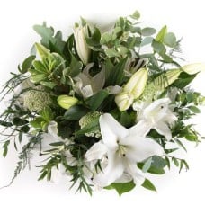 White Lilies (Standard)